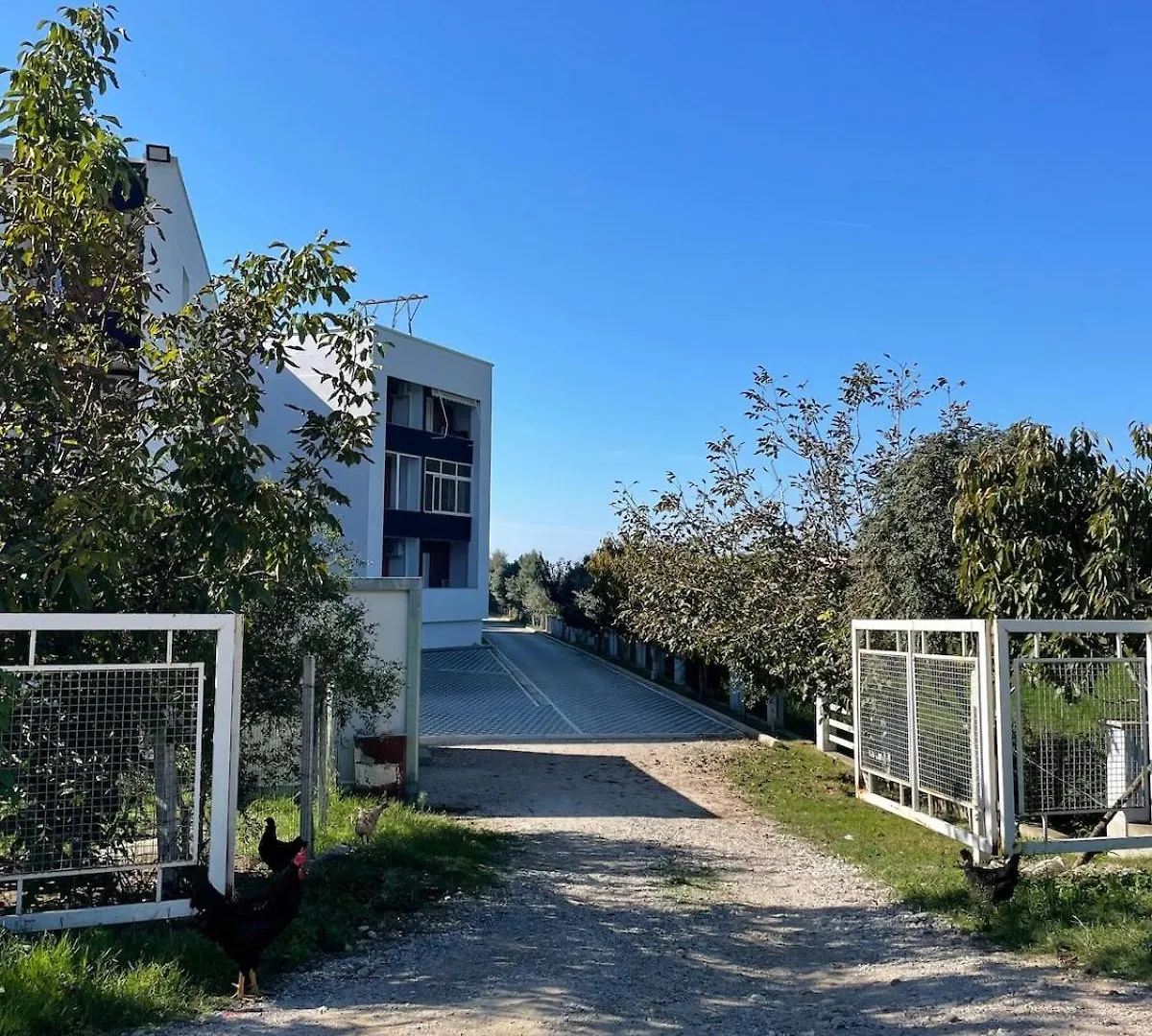 Appartamento Cozy Nest By The Sea Draç 0*,  Albania
